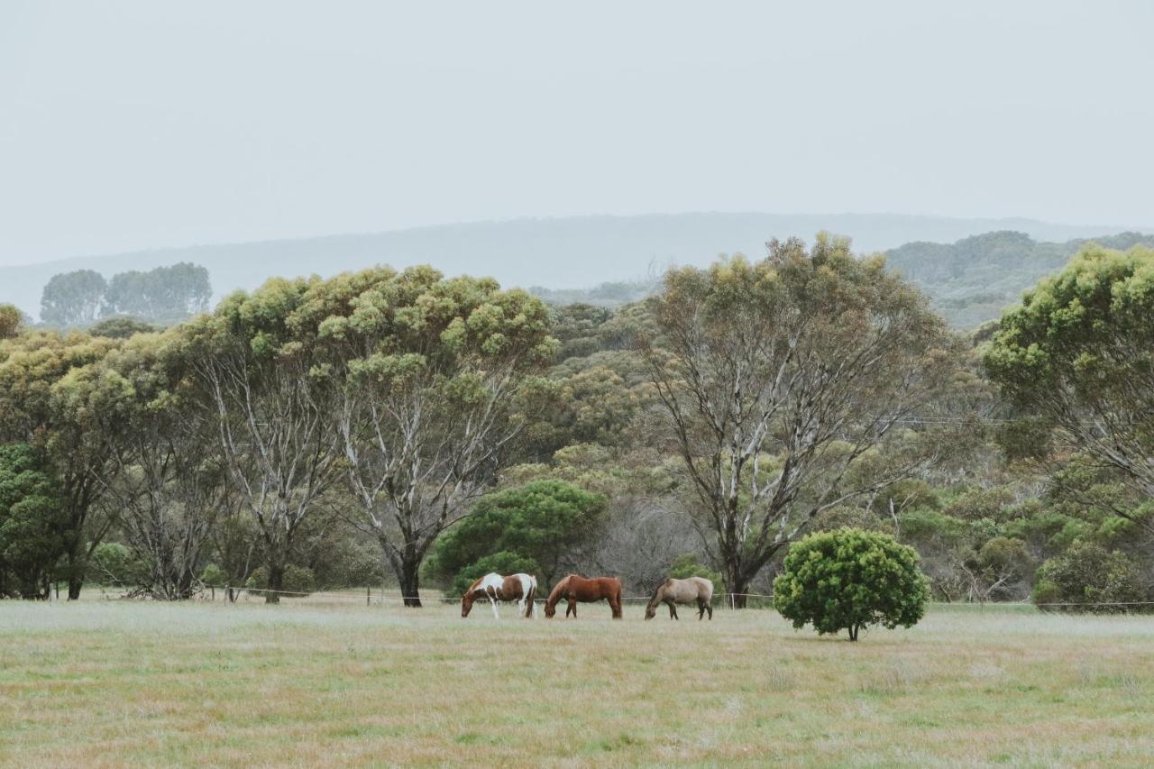 Barnville@Bremer Bed & Breakfast Bremer Bay Luaran gambar